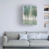 35" x 47" Tim OTool 'Tree Grove I' Unframed Wall Canvas - Trademark Fine Art - 3 of 4