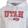 NCAA Utah Utes Gray Fleece Hooded Sweatshirt - 3 of 3