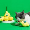 zeze Fruit Cat Chew Toy with Matatabi stick - 3 of 4