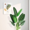 Artificial Bird of Paradise Plant, Fake Palm Tree for Indoor Outdoor Modern Decor Faux Plants for Home Office Perfect Housewarming Gift - 3 of 4