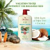 Old Spice Men's Fiji Palm Tree and Coconut Oil 2.6oz Antiperspirant & Doedorant + 30 fl oz Body Wash - 2 of 4