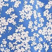 blue white print