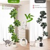 Fiddle Leaf Fig Tree Artificial Indoor, 5FT Tall Faux Rubber Tree with Sphere Planter, Tall Artificial Plants with Moss - 4 of 4