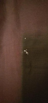 Guest review image 2 of 2, zoom in