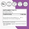 SuperSmart Magnolia Bark Extract 300mg per Day - 90% Honokiol & Magnolol - Magnolia Bark Supplement | Non-GMO & Gluten Free - 60 Vegetarian Capsules - 4 of 4