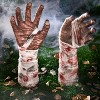 Joyfy Halloween Zombie Arm Yard Stakes, Creepy Severed Broken Arm Lawn Stakes Prop for Yard Lawn Garden Outdoor Halloween Decorations - 2 of 4