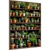 Amanti Art Assorted Succulents 2 by Justyna Jaszke Canvas Wall Art Print Framed - 2 of 4