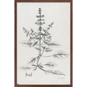 Trends International Jean Plout - Botanical Studies on Paper Basil Framed Wall Poster Prints - 1 of 4