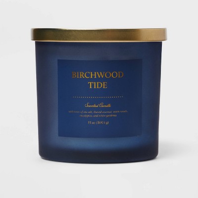 Colored Glass Candle Birchwood Tide Blue - Threshold™