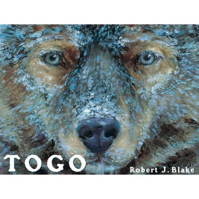 Togo - by  Robert J Blake (Hardcover)