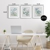 Stupell Industries Wild Blooms with Detailed Outlines 3pc Framed Print Under Glass Set - 3 of 4