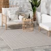 Home Conservatory Pinstripe Handwoven Indoor/Outdoor Area Rug - 2 of 4
