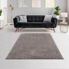 NAYSAYE Super Soft Polyester Shag 6' x 4' Area Rug Plush Cozy High Pile Machine Woven Durable Easy Care for Living Room and Bedroom, Gray - 4 of 4