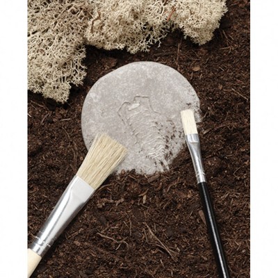 Outdoor Stone and Resin Bug Exploration Set for Kids
