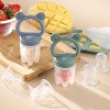 2-Pack Silicone Baby Fruit Feeders with Mini Freezer Tray – Teethers, Breastmilk Popsicle Molds, Safe Self-Feeding, Extra Food Pouches - 2 of 4