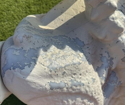 Guest review image 6 of 6, zoom in