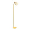 Simple Designs 55.91" Industrial Farmhouse Fusion Adjustable Cage Wire Accent Floor Lamp - 4 of 4