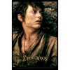 Men's The Lord of the Rings Fellowship of the Ring Frodo Logo T-Shirt - 2 of 4