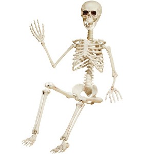Collections Etc 3-Foot Posable Skeleton Halloween Decoration 12 X 4 X 36 White - 1 of 3