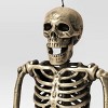 24" Poseable Skeleton Halloween Decorative Prop Champagne - Hyde and EEK! Boutique™ - 3 of 3