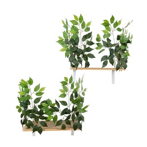 On2Pets Rectangle Cat Canopy Shelves - Green - 2ct - 1 of 3
