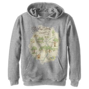 Boy's Winnie the Pooh 100 Acre Woods Map Pull Over Hoodie - 1 of 4