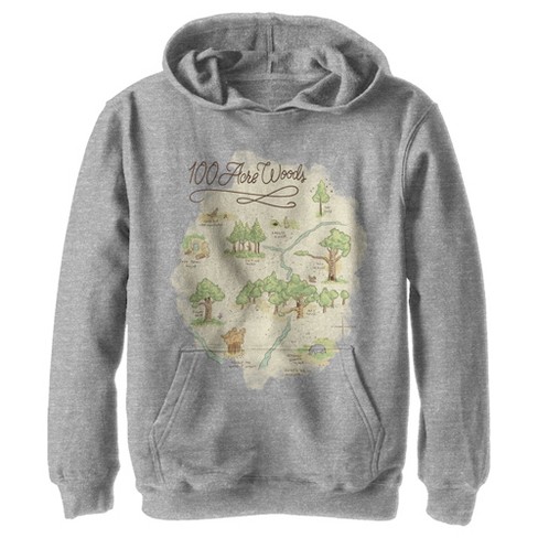 Boy s Winnie The Pooh 100 Acre Woods Map Pull Over Hoodie Target