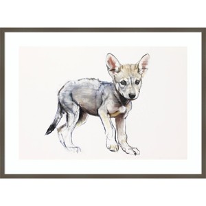 41" x 30" Hesitating Arabian Wolf Pup by Mark Adlington - Amanti Art: Giclee Print, Hardwood Frame - 1 of 4