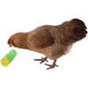 Ware Manufacturing Chicken Treat Roller Meal Worm Dispenser, 2.25" D x 6" L - 2 of 3