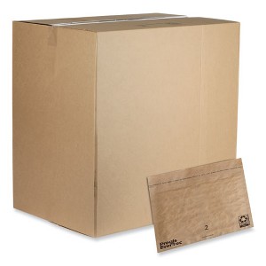Pregis EverTec Curbside Recyclable Padded Mailer, #2, Kraft Paper, Self-Adhesive Closure, 12 x 9, Brown, 100/Carton - 1 of 3