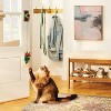Door Hanging Cat Teaser Toy - Boots & Barkley™ Green 3ct - 3 of 3
