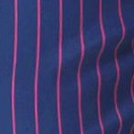 navy purple