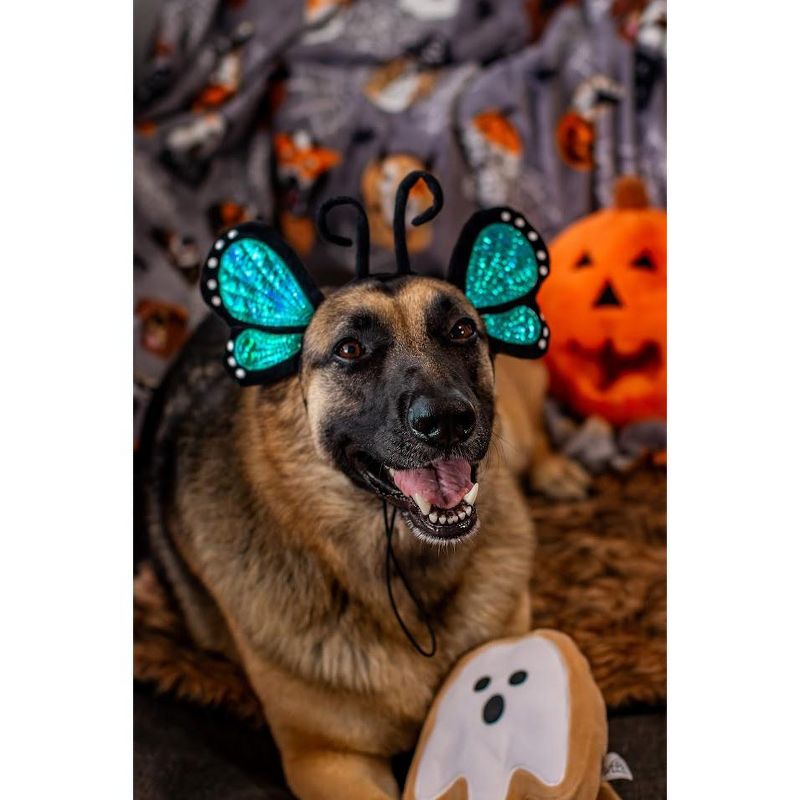 Midlee Blue Butterfly Headband Halloween Dog Costume, 4 of 10