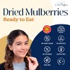 Eastanbul Mulberry, Dried Mulberries, Sun Dried White, Natural, Unsweetened, Vegan, Non-GMO, Gluten Free, 14.5oz - 3 of 4