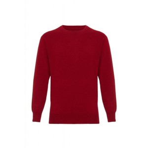 Lona Scott Men's Cashmere Crew Neck Sweater - 1 of 4