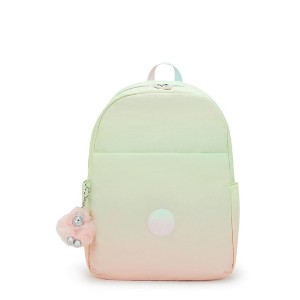 Kipling Haydar Printed 15" Laptop Backpack - 1 of 4