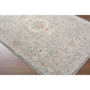 Hauteloom Chione Living Room, Bedroom Area Rug - Traditional - 1 of 4