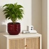 SpassWay 22" Dia Outdoor Indoor Ceramic Planter Pot Decorative Planter with Drainage Hole Patio Flower Pot - 2 of 4