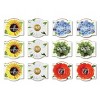 Buzzy Seeds 12pk Poppy Sunflower Daisy Forget-Me-Not Cactus Daydream Mini Grow Pots Flower Kits - 2 of 4