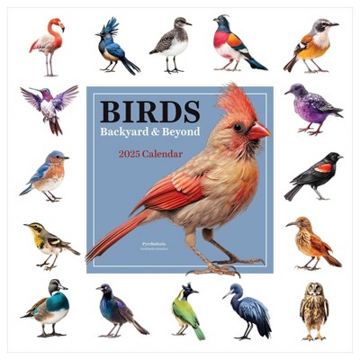 TF Publishing 2025 Wall Calendar 12"x12" Birds Backyard and Beyond: Monthly Hanging Saddle Stitch for All Ages