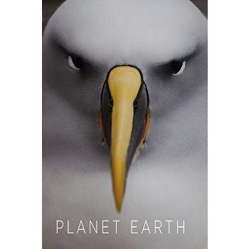 Planet Earth I & II (DVD)