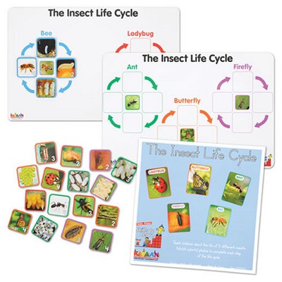 Kaplan Early Learning Insect Life Cycle Game - Investigate Bees, Ants, Butterfly and Firefly