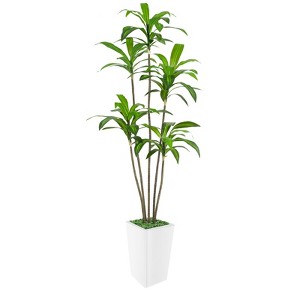 Artificial Tree in Pot with Realistic Leaves & Natural Wood Trunk 5FT/6FT/7FT/8FT - 1 of 4