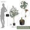 4FT Artificial Eucalyptus Tree with Silver Dollar Leaves, Faux Plant in Woven Pot for Indoor & Outdoor Home, Office Decor - 2 of 4