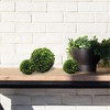 Plum & Post Boxwood Ball Faux (Fake) 8" - 3 of 4