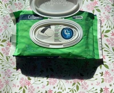 Guest review image 2 of 4, zoom in