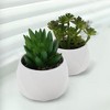 Unique Bargains Fake Succulent Plant for Office Desk Bathroom Kitchen Decor - 3 of 4