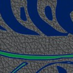 vancouver canucks