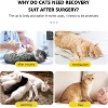 Cat Recovery Suit,Soft Anti-Licking Bodysuit with Adjustable Buckle,E-Collar Substitute,Warm After Shaving Light Blue M - 4 of 4