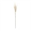 Flocked Twig Branch (Set of 6) - 2 of 2